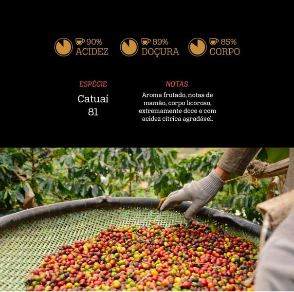 Imagem de Café especial torrado e moído realcafé reserva edição limitada josé antônio debona romão - 250g - pontuação 90,37