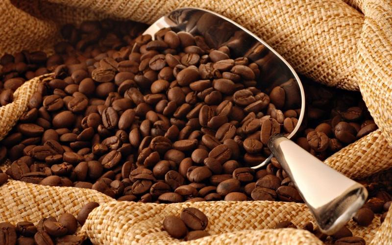 Imagem de CAFÉ GOURMET 100% ARÁBICA - TORRA INTENSA- 250g - EM GRÃOS