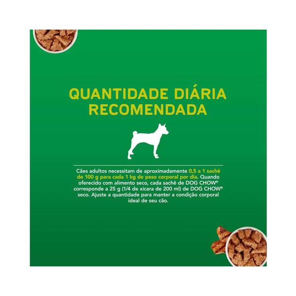 Imagem de Caixa 15un Ração Úmida Dog Chow Sachê Cães Adultos Carne 100g