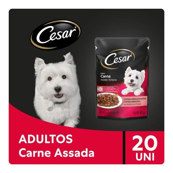 Imagem de Caixa 20un Ração Úmida Cesar Sachê Cães Adultos Carne Assada ao Molho 85g