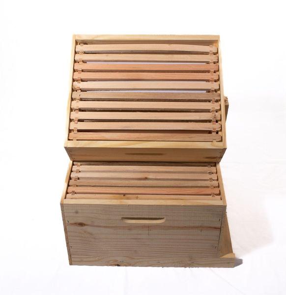 Caixa abelha apis pinus langstroth conjunto - SÓ MADEIRAS - Caixa