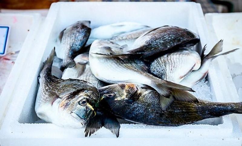 Imagem de Caixa De Isopor Para Alimento Pescado 13Kg Isoterm