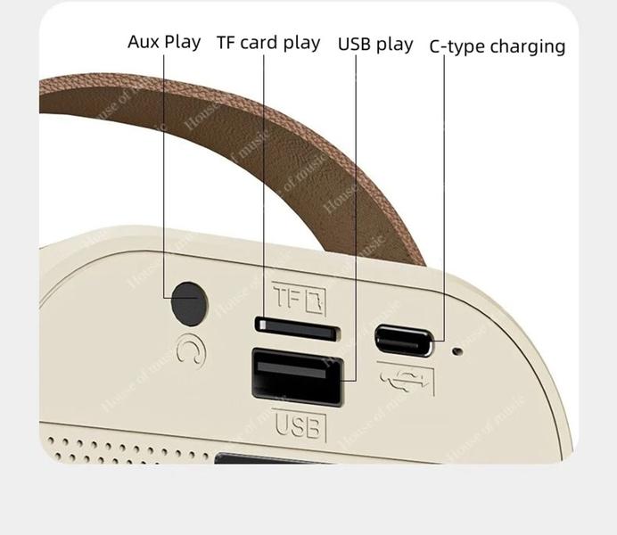 Imagem de Caixa de Som Bluetooth Karaokê Portátil com  Microfone Sem Fio e LED RGB Voz Poderosa