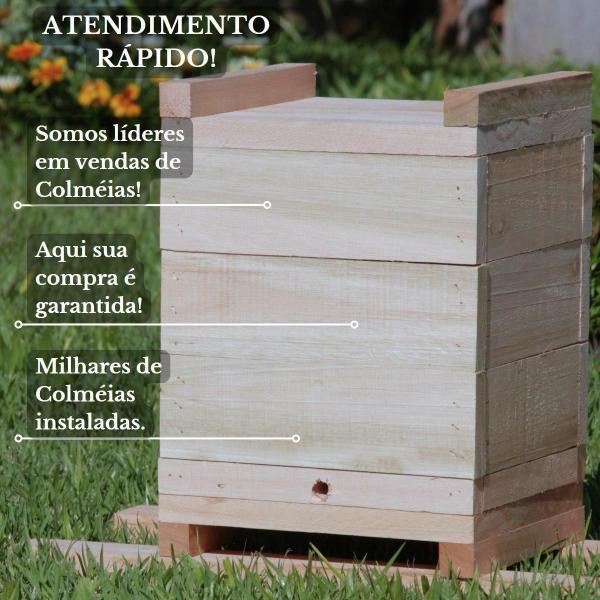 Imagem de Caixa Inpa Para Abelhas Sem Ferrão Eucalipto 18X18