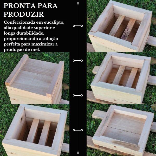 Imagem de Caixa Inpa Para Abelhas Sem Ferrão Eucalipto 18X18