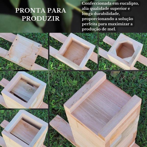 Caixa Inpa Para Abelhas Sem Ferrão Eucalipto 18X18 - Beethoven Agropet Imagem de Caixa Inpa Para Abelhas Sem Ferrão Eucalipto 18X18