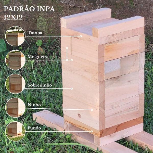 Caixa Inpa Para Abelhas Sem Ferrão Eucalipto 18X18 - Beethoven Agropet Imagem de Caixa Inpa Para Abelhas Sem Ferrão Eucalipto 18X18