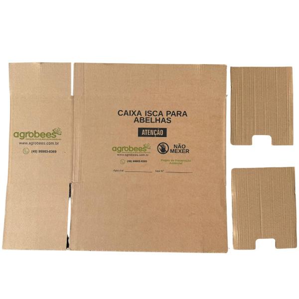 Caixa Isca De Papelão Nucleo Abelha Europeia Africana Apis - Apiario Meliponario Chapecó Imagem de Caixa Isca De Papelão Nucleo Abelha Europeia Africana Apis
