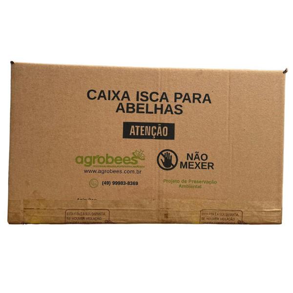 Caixa Isca De Papelão Nucleo Abelha Europeia Africana Apis - Apiario Meliponario Chapecó Imagem de Caixa Isca De Papelão Nucleo Abelha Europeia Africana Apis