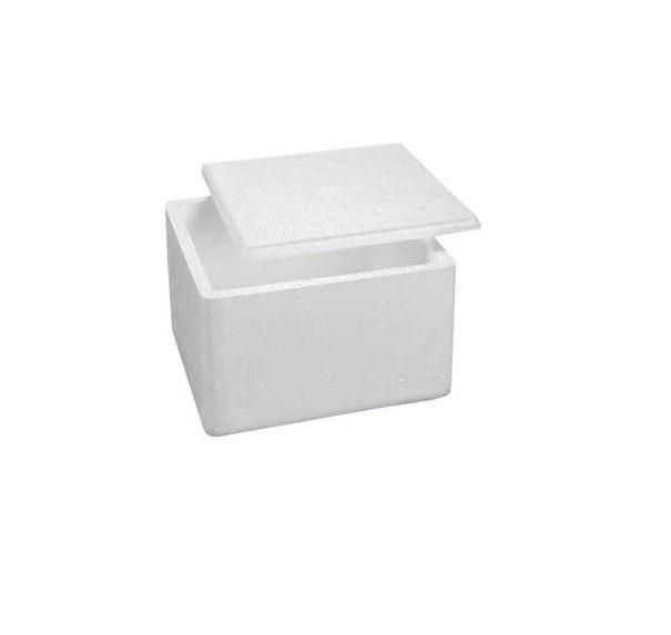 Imagem de Caixa Isopor Térmica 1kg Gelo Alimento Medicamento- Kit 10un