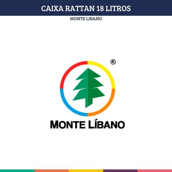 Imagem de Caixa Organizadora Com Tampa Rattan Preta 18Lts Monte Libano