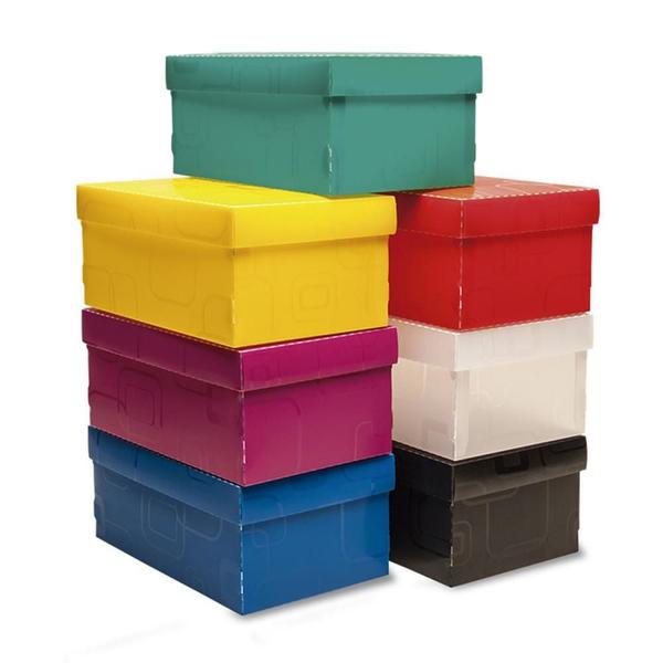 Caixa Organizadora TOP Line Sapato 28X17X20CM.VD - Dello Imagem de Caixa Organizadora TOP Line Sapato 28X17X20CM.VD