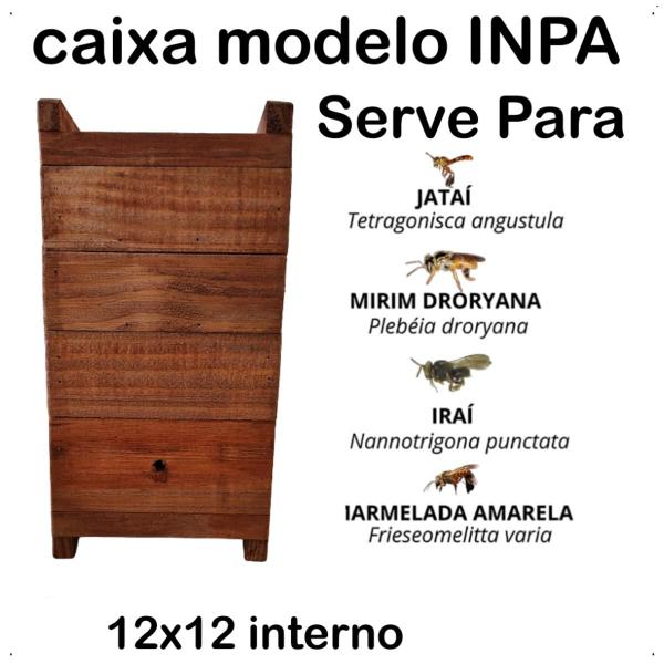 Imagem de Caixa Para Abelhas Jataí, 12x12 Interno, Madeira de Pinus  Tratada, Para Jataí, Mirim, Sem Ferrão Com 2 Melgueiras  Modelo Inpa Em Madeira De Pinus