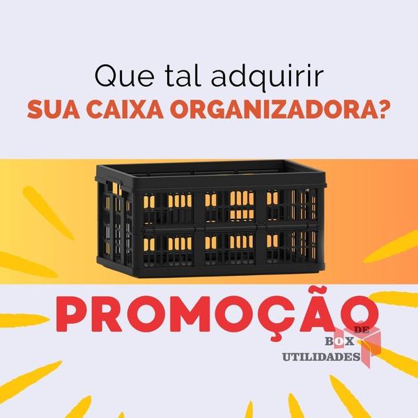 Imagem de Caixa Plástica Dobrável  Desmontável Empilhável Prática Organizadora Cesto 45 Litros Grande 48 x 35 x 24 Suporta Até 30 kilos