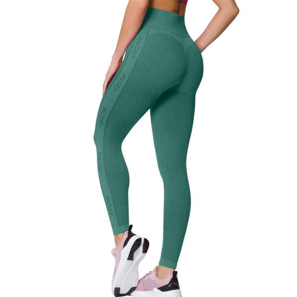 Imagem de Calça Legging Selene Fitness Academia Sem Costura