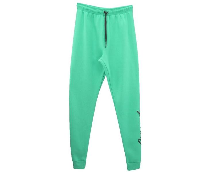 Imagem de Calca Moletom Rip Curl Script Pant Green - Masculino