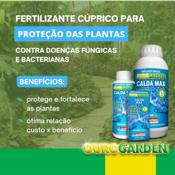 Imagem de Calda Bordalesa Concentrado 100 ml - Calda Max - Insetimax