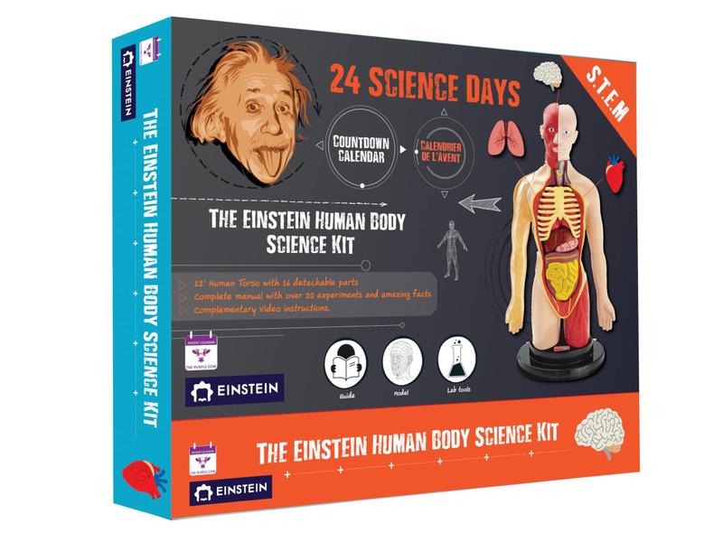 Imagem de Calendário do Advento O kit de ciências do corpo humano Purple Cow Einstein