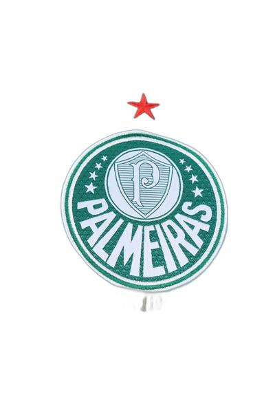 Imagem de Camisa de goleiro puma palmeiras ii 24/25 masculina - torcedor