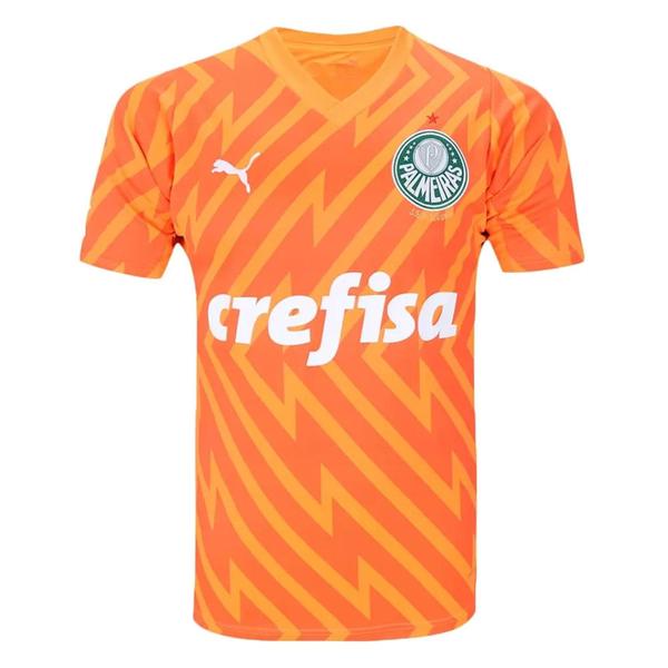 Imagem de Camisa de goleiro puma palmeiras iii 2425 masculina - torcedor