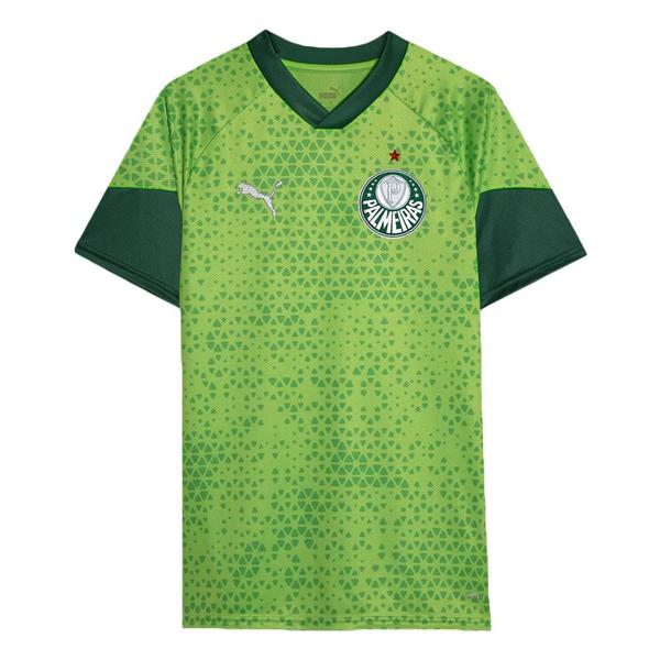 Imagem de Camisa de treino e viagem puma palmeiras 2024 masculina