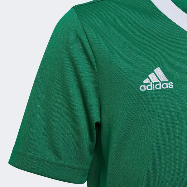 Imagem de Camisa Infantil Adidas Entrada 22