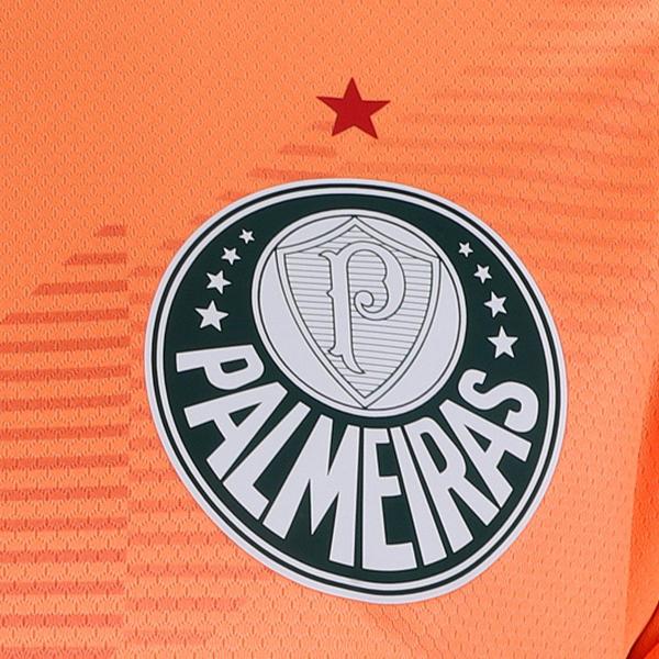 Imagem de Camisa Palmeiras III 23/24 s/n Goleiro Puma Masculina