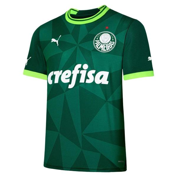 Imagem de Camisa Palmeiras Puma Uniforme 1 s/nª 23/24 Torcedor Masculina