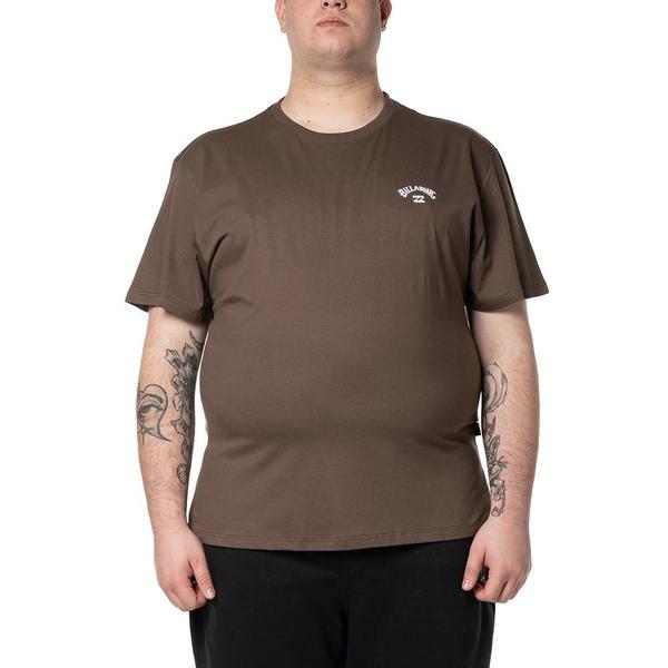 Imagem de Camiseta Billabong Small Arch Emb. Plus Size WT24 Marrom