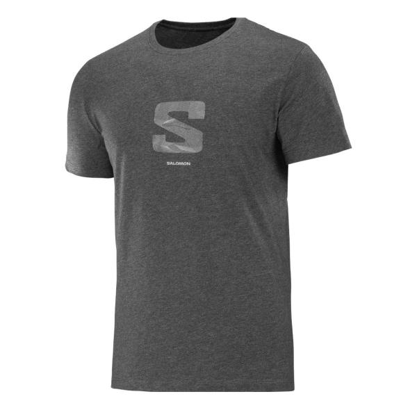 Imagem de Camiseta Salomon Logo Ss Tee - masculino - cinza