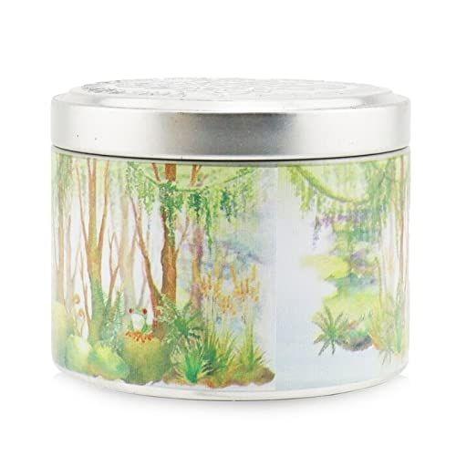 Candle The Candle Company (Carroll & Chan) 100% cera de abelha - Carroll & Chan Imagem de Candle The Candle Company (Carroll & Chan) 100% cera de abelha