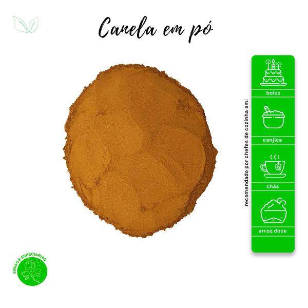 Canela em Pó - Ervas e Especiarias - Rocha Saúde Imagem de Canela em Pó - Ervas e Especiarias