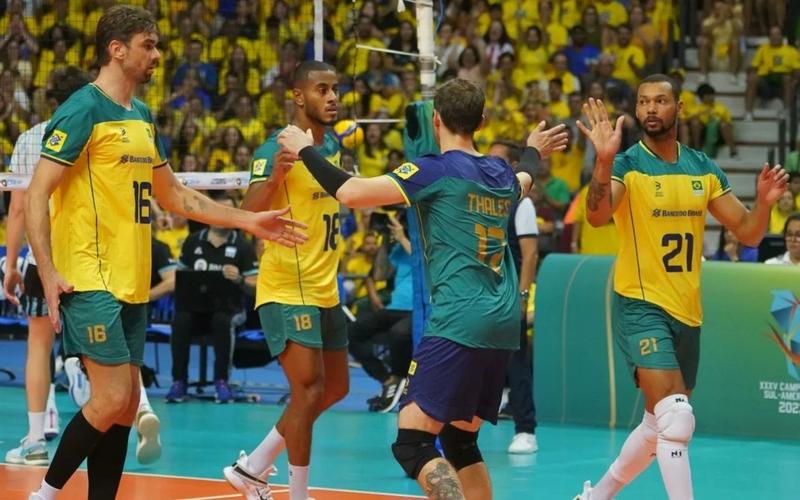 Imagem de Canelito Protetor De Panturrilha Vôlei Pro Seleção Spry Preto N1Sport