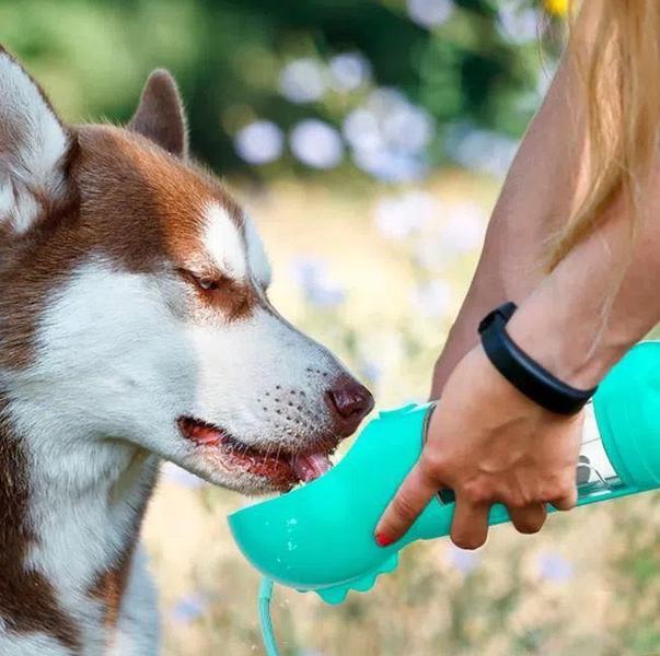 Imagem de Cantil Multiuso Pet Dispenser De Água 3 em 1 Verde Tep Tep