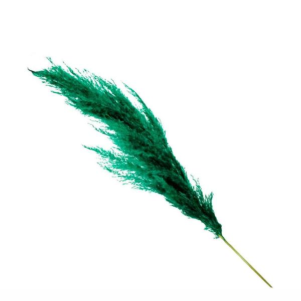 Imagem de Capim Dos Pampas 90cm - Verde (Haste)