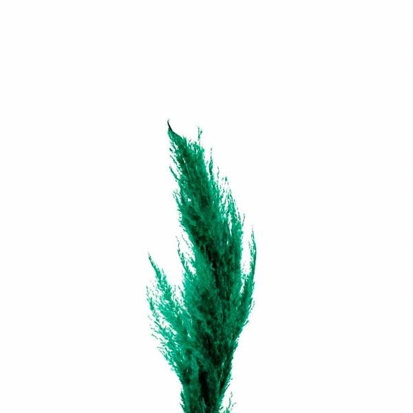 Imagem de Capim Dos Pampas 90cm - Verde (Haste)