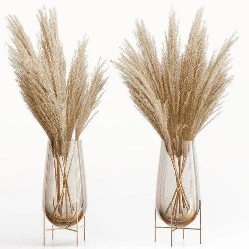 Capim Dos Pampas Decoração Sala Quarto Home 8 Hastes - Natural Preço Arranjo Arranjo Imagem de Capim Dos Pampas Decoração Sala Quarto Home 8 Hastes