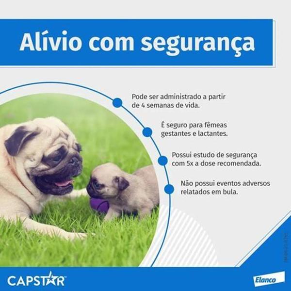 Imagem de Capstar Cães Acima de 11Kg Grande Porte 6 Comprimidos - Elanco