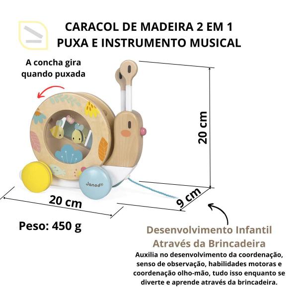 Imagem de Caracol de madeira de puxar e instrumento musical educativo janod