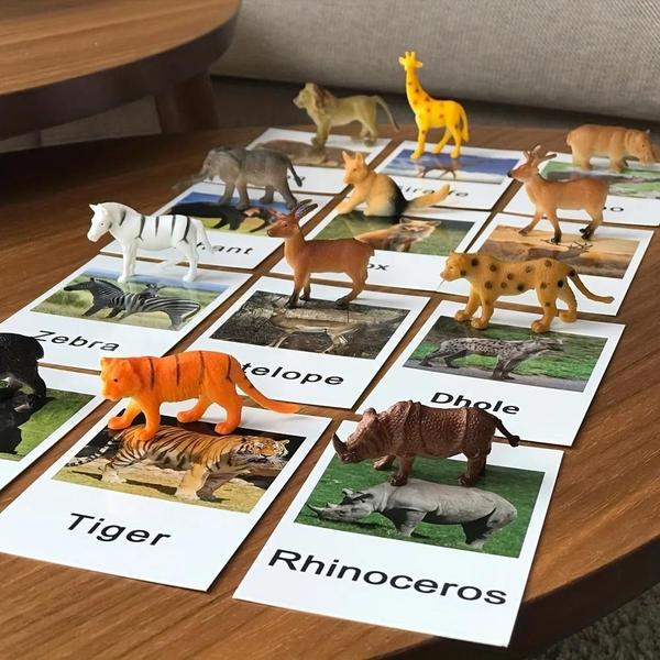 Imagem de Cartões Montessori de Correspondência de Animais - Brinquedo Educacional para Aprendizagem de Idiomas