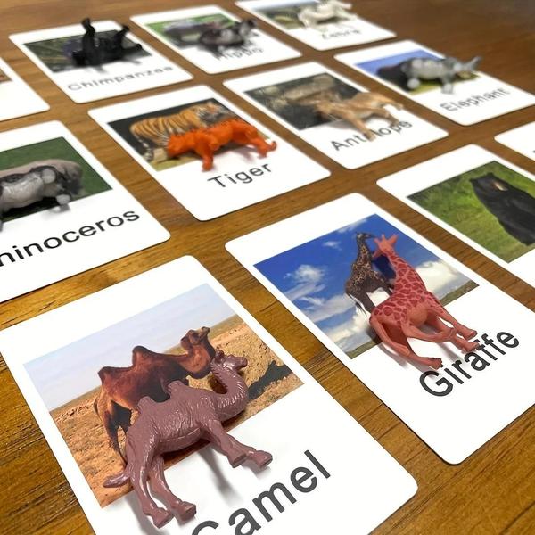 Cartões Montessori de Correspondência de Animais - Brinquedo Educacional para Aprendizagem de Idiomas Imagem de Cartões Montessori de Correspondência de Animais - Brinquedo Educacional para Aprendizagem de Idiomas
