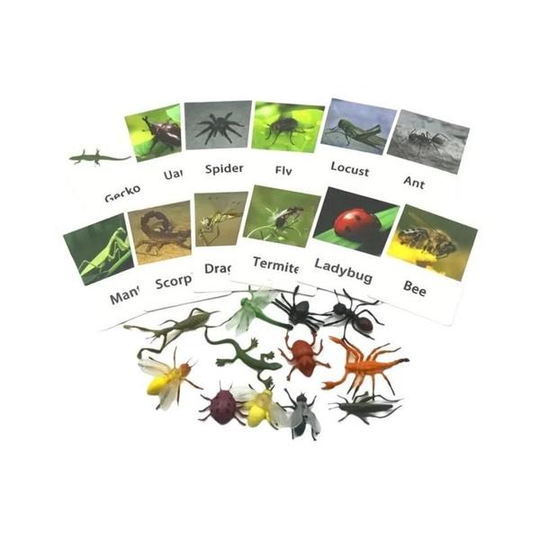 Cartões Montessori de Correspondência de Animais - Brinquedo Educacional para Aprendizagem de Idiomas Imagem de Cartões Montessori de Correspondência de Animais - Brinquedo Educacional para Aprendizagem de Idiomas