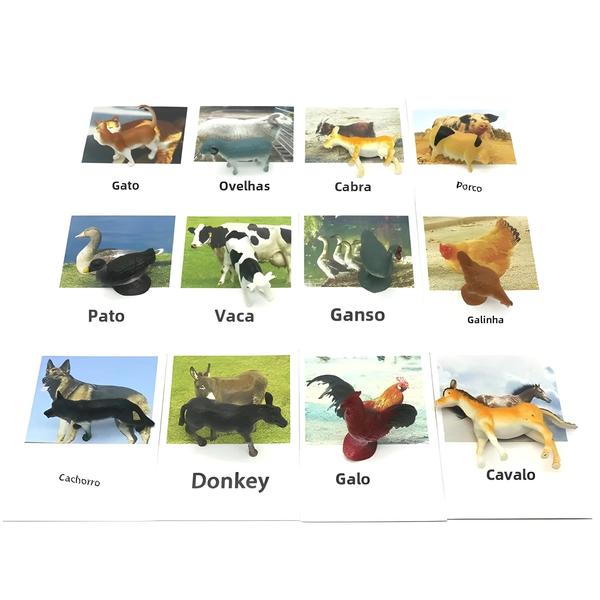 Cartões Montessori de Correspondência de Animais - Brinquedo Educacional para Aprendizagem de Idiomas Imagem de Cartões Montessori de Correspondência de Animais - Brinquedo Educacional para Aprendizagem de Idiomas