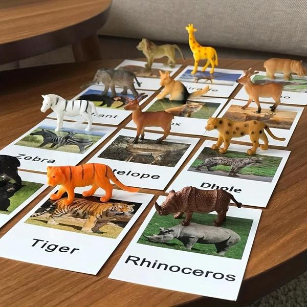 Cartões Montessori de Correspondência de Animais - Brinquedo Educacional para Aprendizagem de Idiomas Imagem de Cartões Montessori de Correspondência de Animais - Brinquedo Educacional para Aprendizagem de Idiomas
