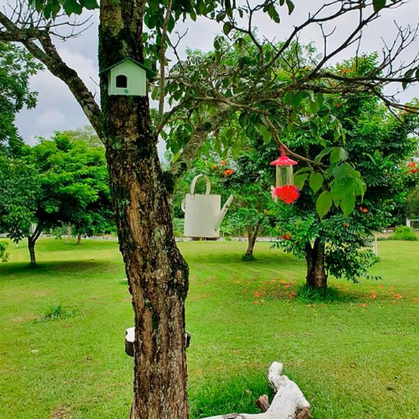 Imagem de Casa para pássaros kit com 5 casinha Plástico recicado