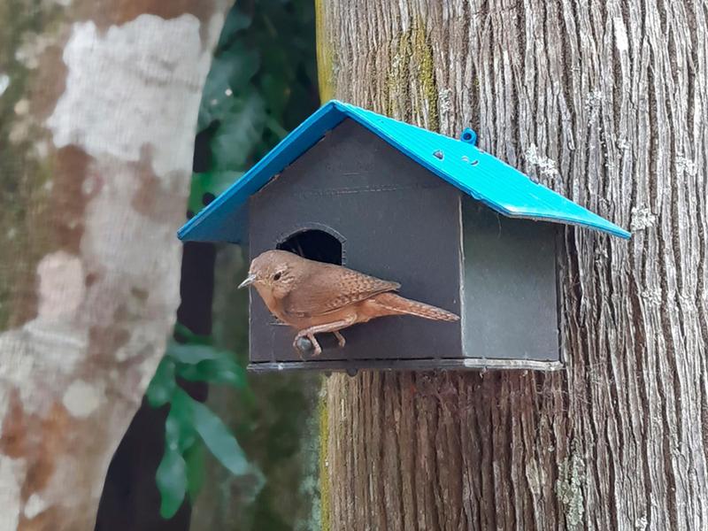 Imagem de Casa para pássaros - Plástico Reciclado