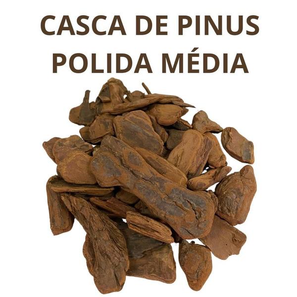 Imagem de Casca De Pinus Polida Casca De Arvore Decorativa Vaso Jardim Média