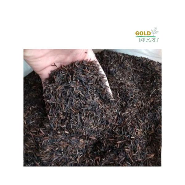 Imagem de Casca palha de Arroz carbonizada 10 litros - Gold Plant