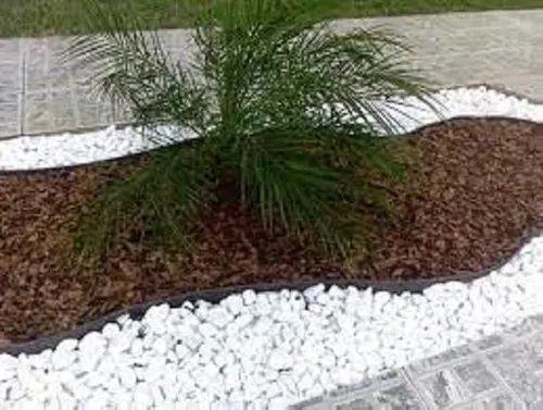 Imagem de Cascas De Pinus P/ Vasos Jardins E Decoração 1kg