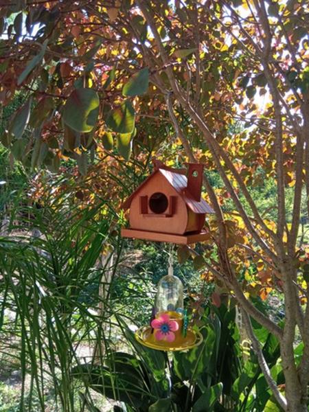 Imagem de Casinha De Passarinhos Mogno E Bebedouro Para Beija-flores